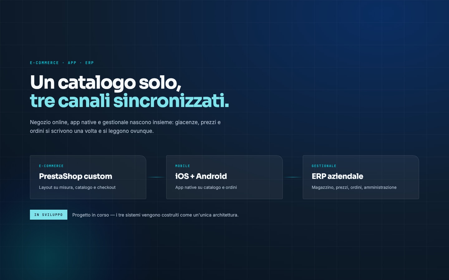 Colibrì Bag — progetto